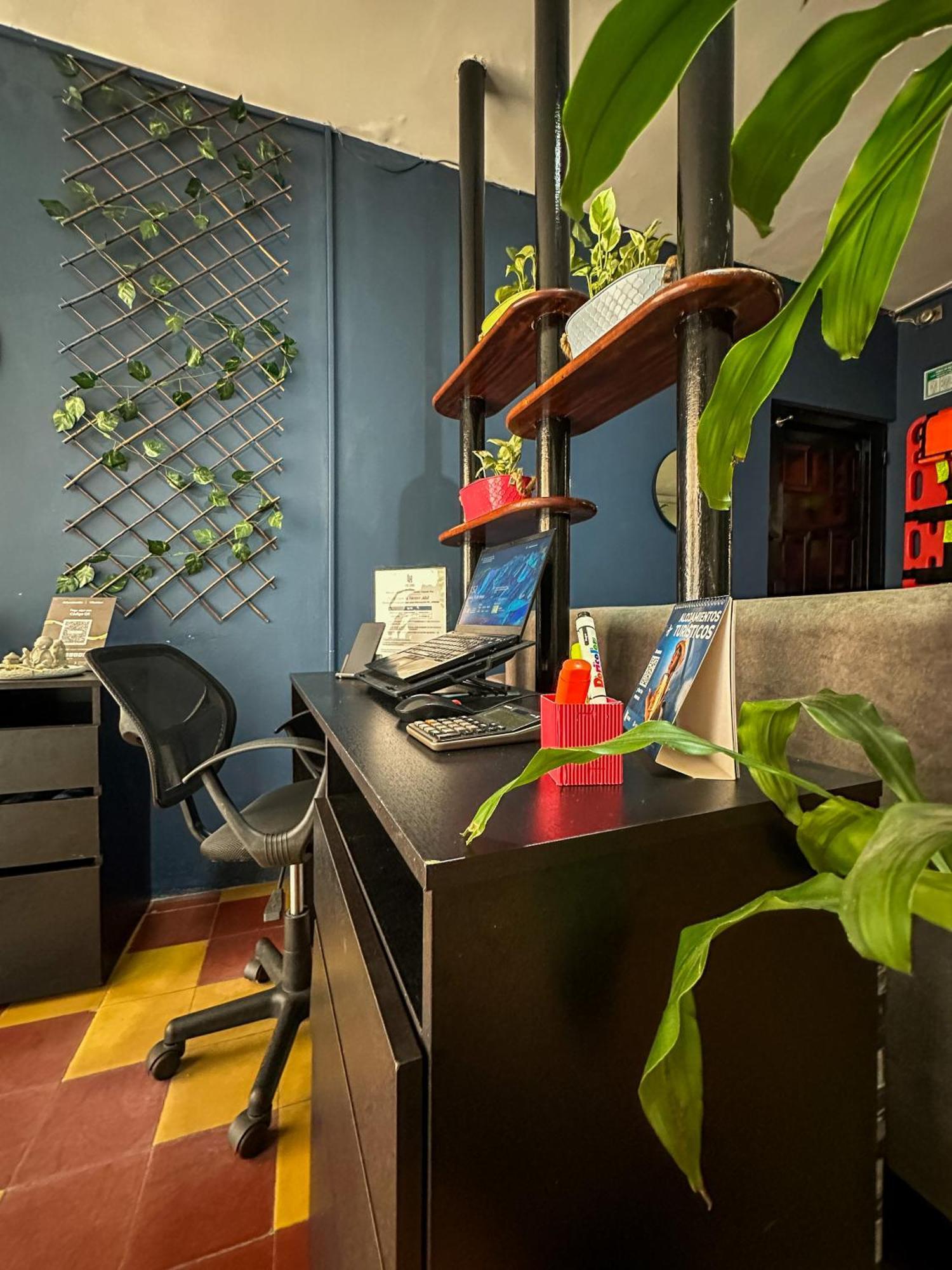 Casa Encanto, Apartamento - Habitaciones, Laureles-America 麦德林 外观 照片